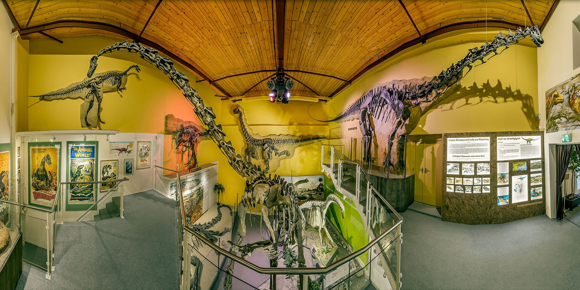 Sauriermuseum_Originaldinosaurier.jpg
